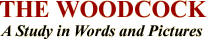 The Woodcock