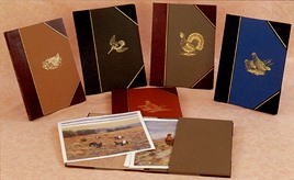 The Snipe - Portfolio of Prints